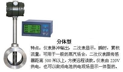 水蒸汽流量計分體型產品圖